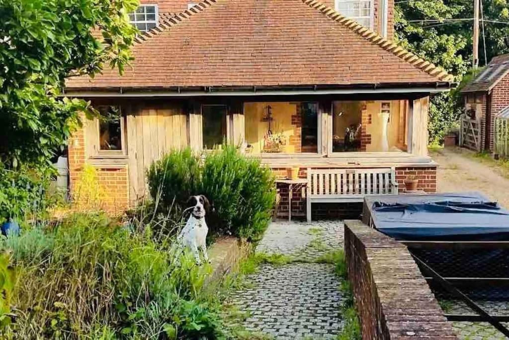 Nature Charm & Fruit Delights, Multi-Generation Celebratory Home -Try, Relax, Repeat - Sellindge Ashford  Luaran gambar