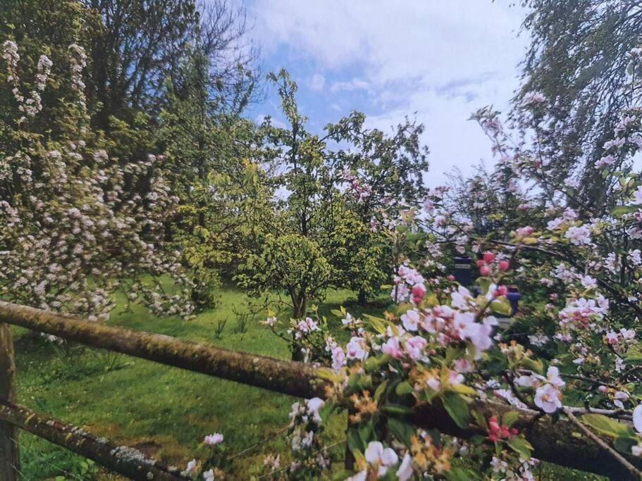 Nature Charm & Fruit Delights, Multi-Generation Celebratory Home -Try, Relax, Repeat - Sellindge Ashford  Luaran gambar