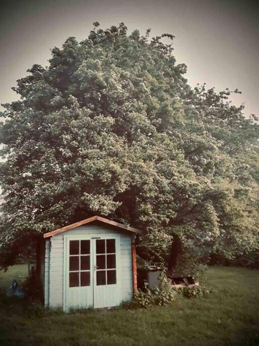 Nature Charm & Fruit Delights, Multi-Generation Celebratory Home -Try, Relax, Repeat - Sellindge Ashford  Luaran gambar
